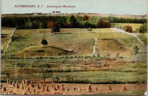 Bloomingburg NY Shawangunk Mountains Artino Series Postcard H19