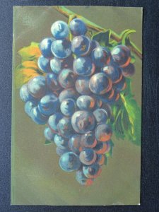 Fruit Berries & Nuts Study BLACK GRAPE c1910 Italian Postcard
