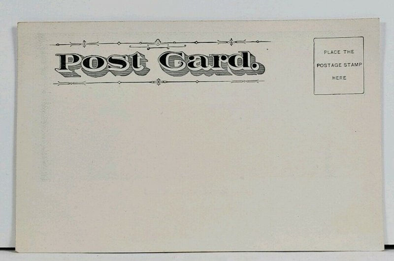 Bellevue Nebraska DEPOT RAVINE c1906 udb Postcard L17