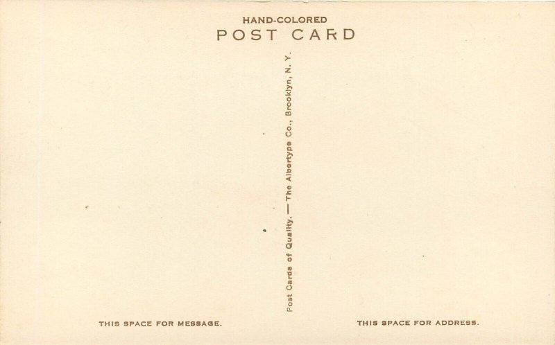 Hand-Colored Postcard; Approach to Soboba Hot Springs, San Jacinto CA 1920s