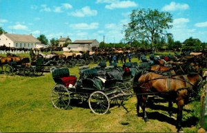 Canada Kitchener-Waterloo Horses and Buggies Behind Martin's Old Order M...