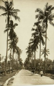 PC CPA SINGAPORE, SUBURBS, Vintage REAL PHOTO Postcard (b19702)