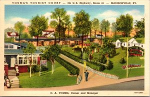 Linen Postcard Young's Tourist Court US 41 in Madisonville, Kentucky