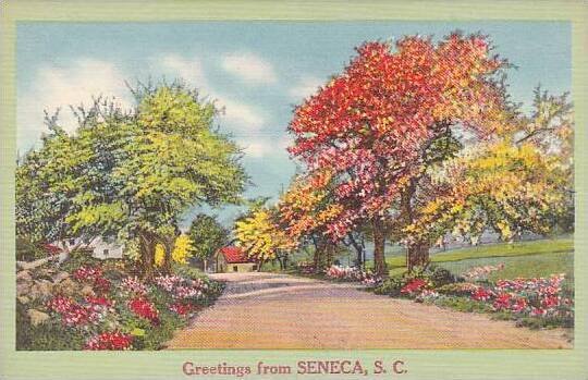 South Carolina Seneca Greetings From Seneca