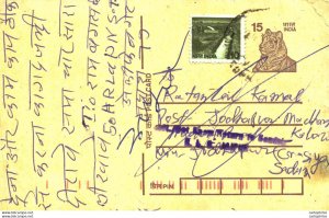 India Postal Stationery Tiger 15