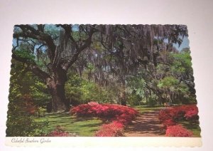 UNUSED POSTCARD COLORFUL SOUTHERN GARDEN