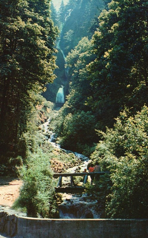 Vintage Postcard Wahkeena Falls Waterfalls Columbia River Oregon OR Nature