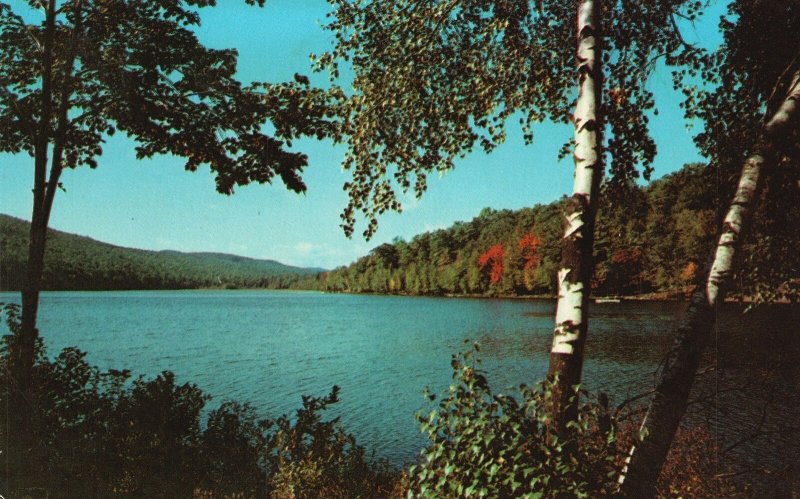 Vintage Postcard 1972 Greetings From Lake Autumn Wallenpaupack Pennsylvania PA