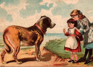 1870's Lion Coffee Saint Bernard Dog Girls Bufford Lithograph Trade Card