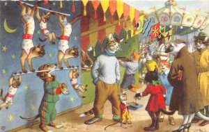 F87/ Alfred Mainzer Dressed Cat Comic Postcard c50s Carnival Dog 11