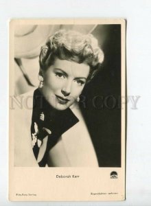 438495 DEBORAH KERR British film ACTRESS theatre Vintage PHOTO postcard