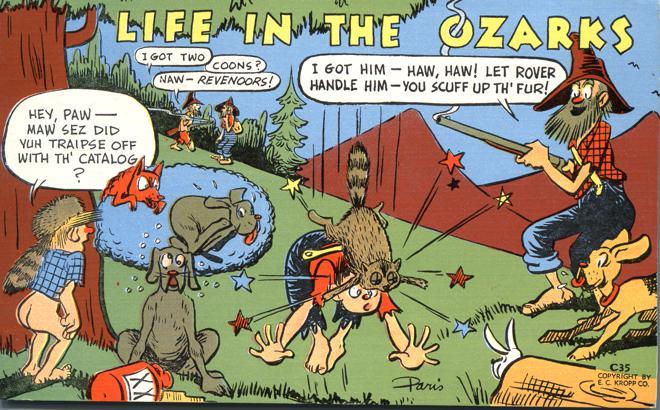 Humor - Life in the Ozarks MO, Missouri - Comic - pm 1949