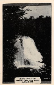 F79/ Oakland Maryland Postcard c40s Muddy Creek Waterfall Swallow Falls