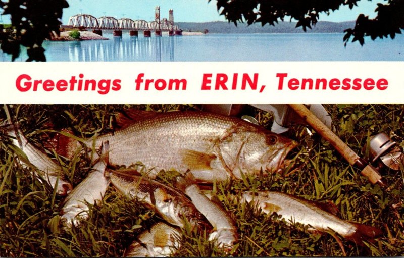 Tennessee Greetings From Erin L & N Railroad Bridge and Game Fish Kentucky Lake