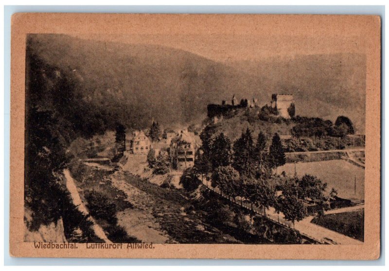 1913 Wiedbachtal Luftkurort Altwied CPO Rhineland-Palatinate Germany Postcard 