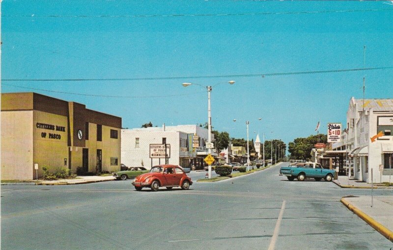 Florida Zephyrhills Main Street Business Section sk5215