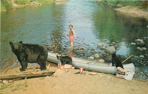 Postcard 1960s Camping bear raid Pepsi canoe Brown 23-9517