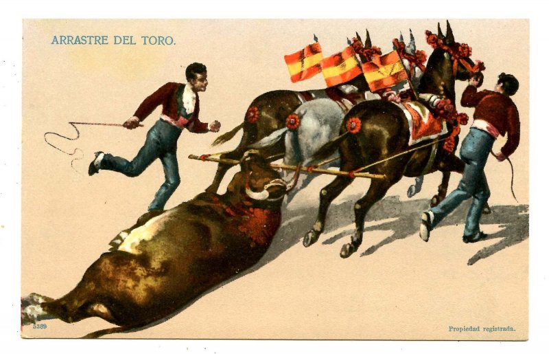 Bullfighting - Removal of the Bull
