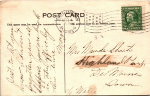 Pansies for Thoughts Boy