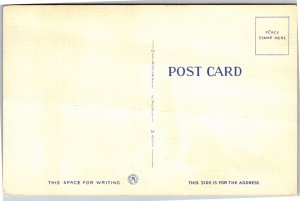 Postcard Comic Officer arresting drunk Would have written last night got held up