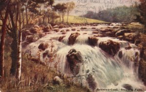 Vintage Postcard 1905 Bettws-y-coed Swallow Falls Wales United Kingdom