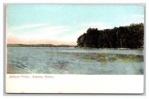 Salmon Point Auburn Maine ME UNP DB Postcard U13