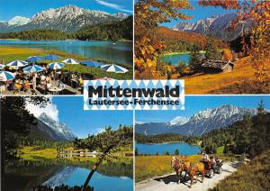 BG13169 mittenwald oberbayern lautersee gegen karwendelgebirge chariot  germany