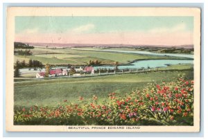 1949 View of Grasses and Flowers, Prince Edward Island Canada Cancel Postcard