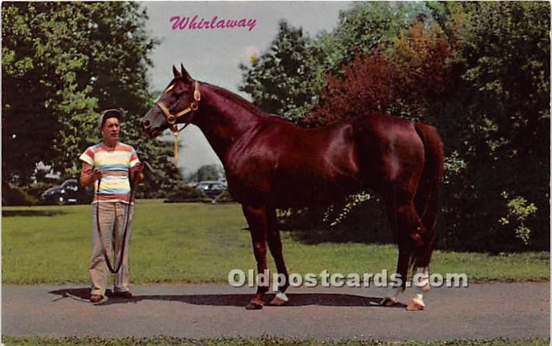 Whirlaway, KY Derby Winner Lexington, KY , USA Horse Racing Unused 