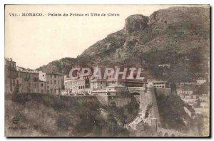 Old Postcard Monaco Prince's Palace and Dog Tete