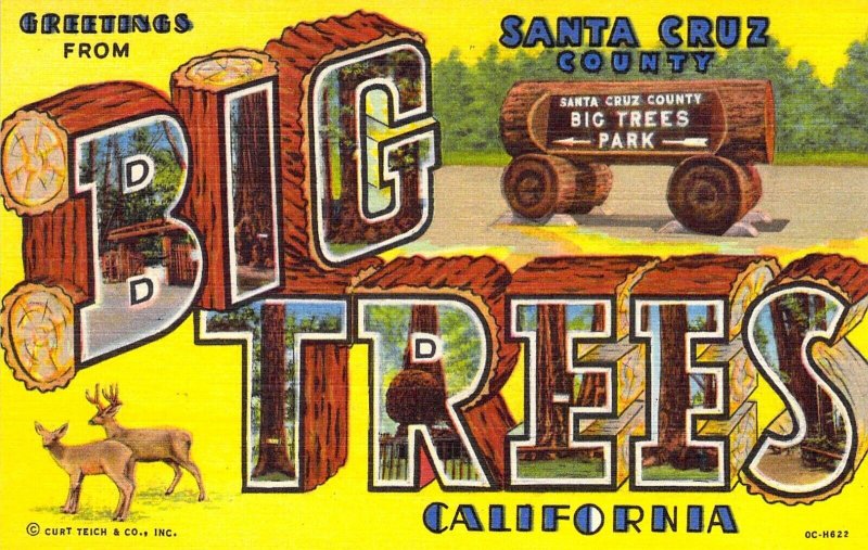 Linen Era Large Letter Big Trees, Santa Cruz County CA, Old Postcard