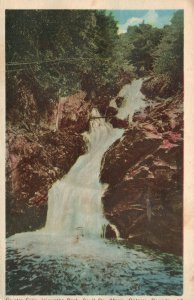 Vintage Postcard 1947 View of The Water Falls Trees Nature Ontario Canada CAN