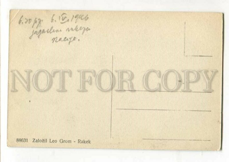 3114013 Slovenia RAKEK view Vintage postacrd
