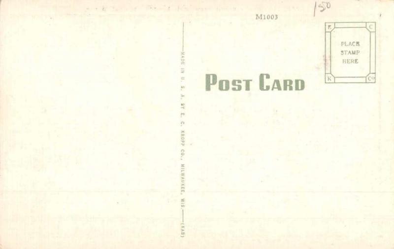 Tomah Wisconsin Government Hospital Street View Antique Postcard K73485