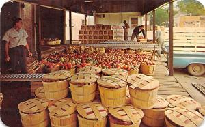 Benton Harbour Fruit Market Adversting Postcard