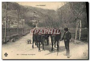 Postcard Old tow hitch Auvergne Auvergne