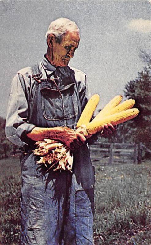 Good Ears, Corn Sun City, Arizona, USA Farming Unused 