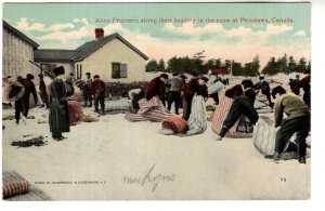 Alien Prisoners, German and Austrian, Petawawa, Ontario World War I Military