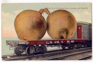LARGE Onions on RR Car