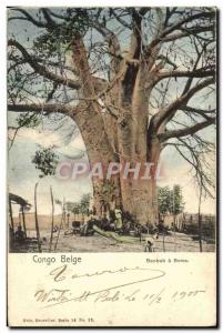 VINTAGE POSTCARD Belgian Congo Baobab tree has Boma