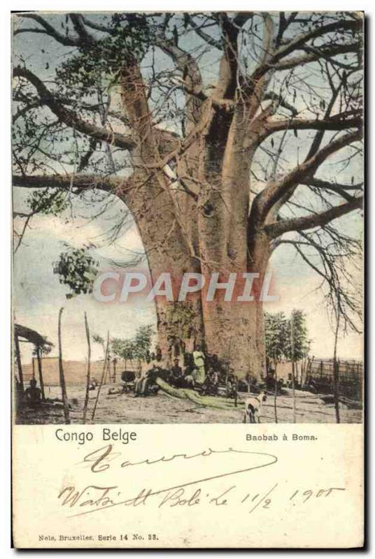 VINTAGE POSTCARD Belgian Congo Baobab tree has Boma