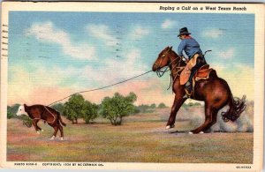 Postcard ANIMAL SCENE Amarillo Texas TX AK0831