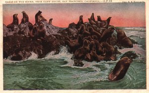 Vintage Postcard 1927 Seals on the Rocks Cliff House San Francisco California CA