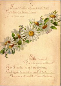 Postcard Reproduction Flowers - I asked the daisy why