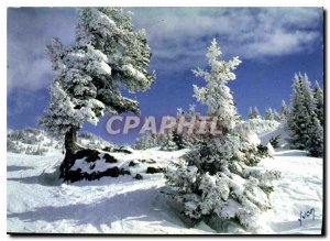Postcard Modern Colors and Light of Winter France Feerie