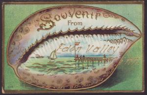 Souvenir From Eden Valley,MN,Seashell Postcard