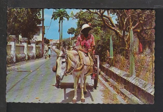 Donkey Cart,Vendor,Barbados Postcard 