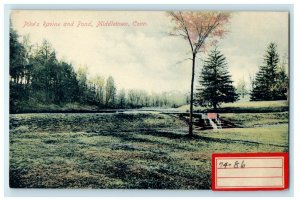 c1910s Pike's Ravine and Pond, Middletown, Connecticut CT Unposted Postcard