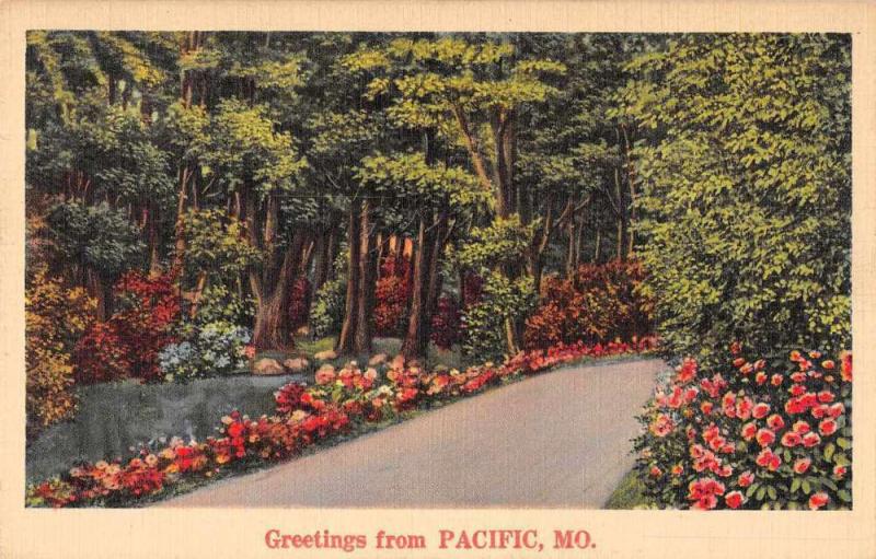 Pacific Missouri Greetings Road Scenic Vintage Postcard JD933974