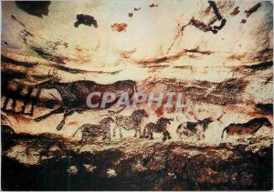 Modern Postcard Lascaux Perigord Prehistoric Art Tourist wall Right of Painte...